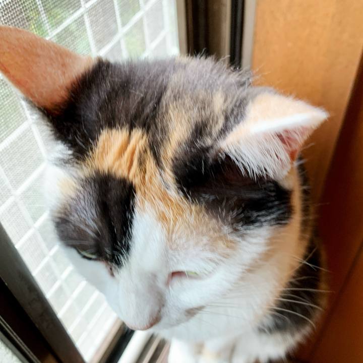 26da6bbb 062b 4c7d 962b 8085510dcf1f 1596244829254