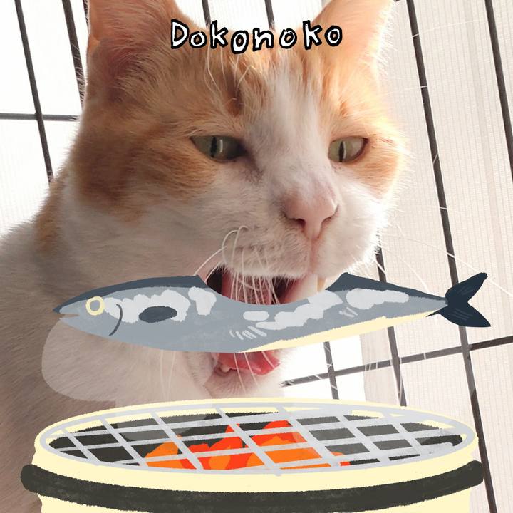 26da9155 ffa3 4a82 8d8b 01449f1f03b5 1761306799019