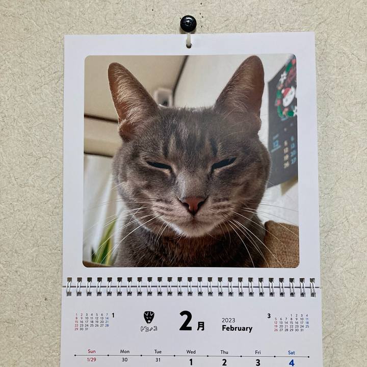 26da9ba0 4436 4f0a 81cf 2f8b52f95969 1675244859252