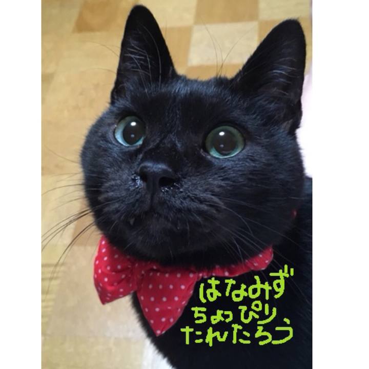 26daaf2a c504 4b78 910e f345c31872a6 1562413880485