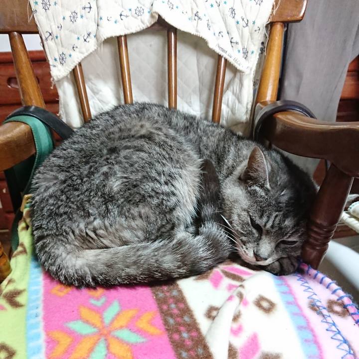 26db0c92 6042 474e bd81 813d71d7bb08 1578022225716