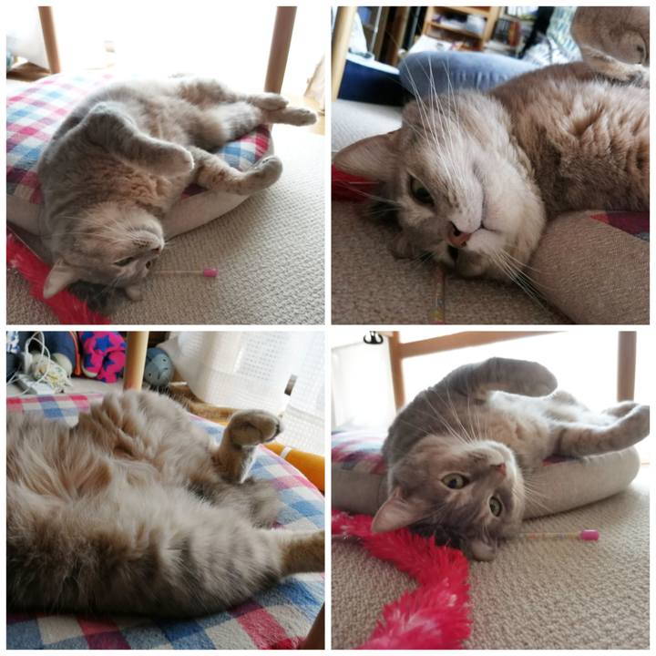 26db2db5 f117 49cd abda 1df7fe069e22 1602306988199