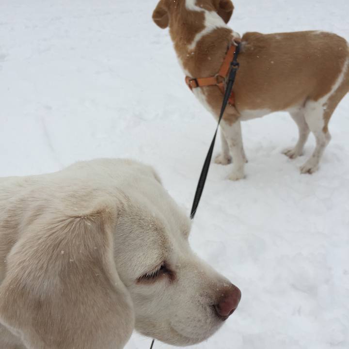 26db3a5a a028 4b46 8c5f 90702f1385a1 1698830401445