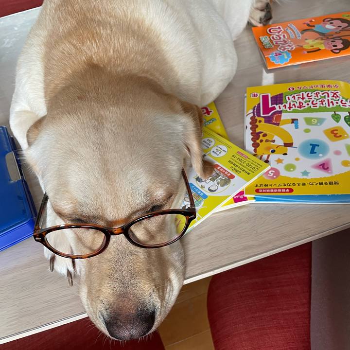 26db4f3c 7da9 4cd6 a6ba 9eae9be6845b 1657525554491