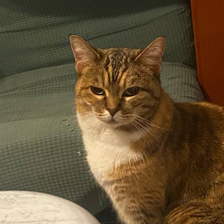 26db5dbc d620 41ab ad1b fa236a41aa95 1675524521840