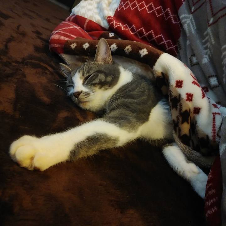 26db79d9 c61d 4265 96a7 dcf407b7d6e0 1580104729902