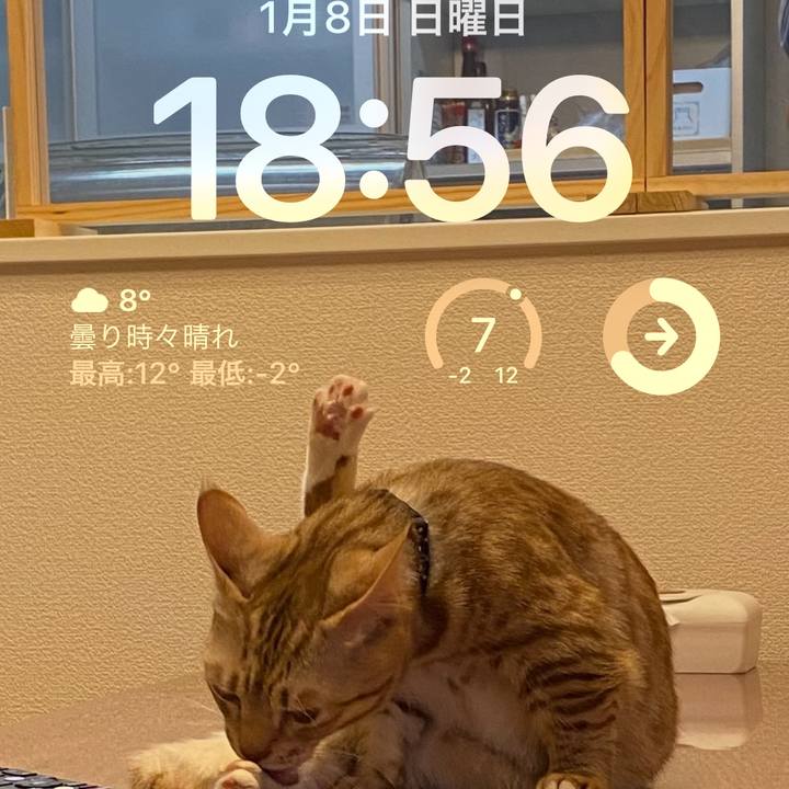 26db7b39 19ee 40cf 9fdb 450eed6ae938 1673171877860