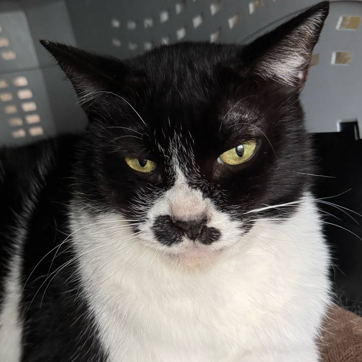 26db8ed9 0181 49df bee2 db2f48ca657b 1760769465473