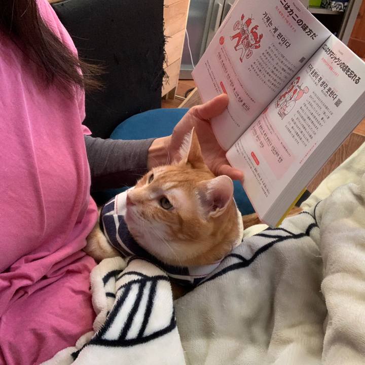 26dc06f3 e818 48cb a5d1 fa69ad7a243a 1612598819746