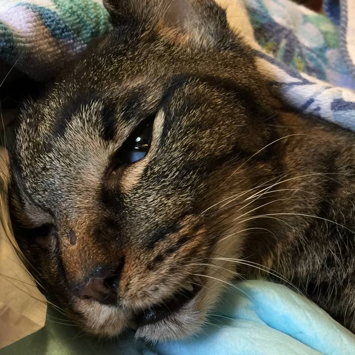 26dc1c79 7193 4c01 ba63 1b032b5097ae 1535250613385