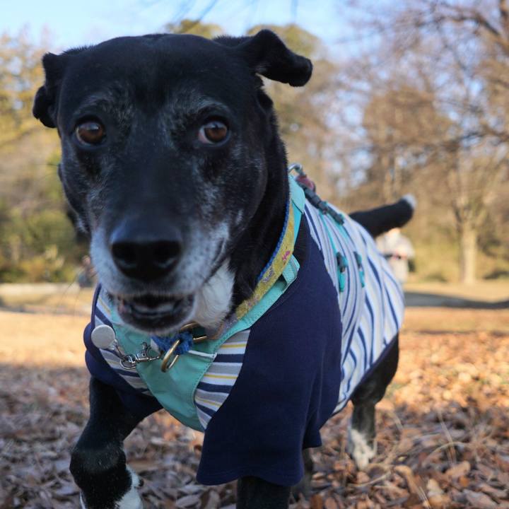 26dc2c98 1e0c 4bfe b11c 59172eed6dfb 1770253707365