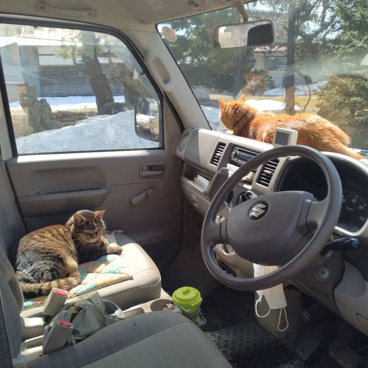 26dc4833 90c9 4cbc be73 b4124886c82b 1773976619823