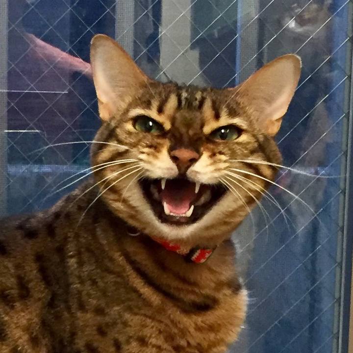 26dc5745 e680 4428 a0be d158ce06f3c7 1508022036046