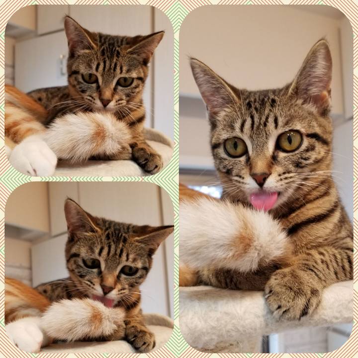 26dc9962 bcdb 4e54 b611 761970b02ded 1547651326669