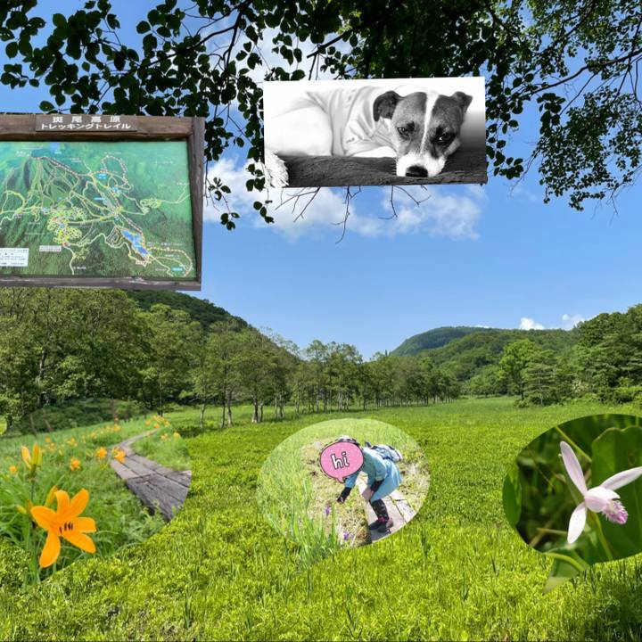 26dcabe1 14d0 4416 88ef 39846aaba949 1624279119219