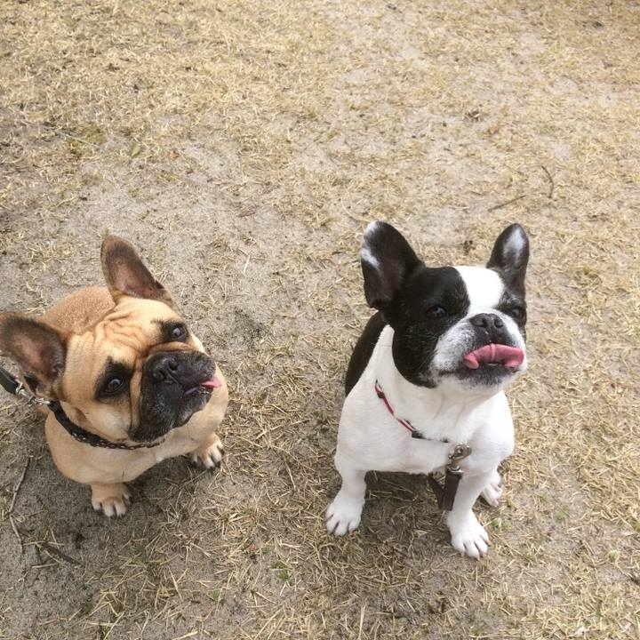 26dcdf22 f7eb 467d 910d 7b60b4230290 1636299092413