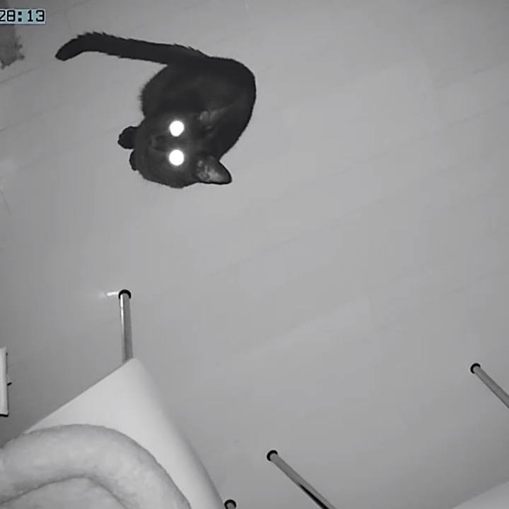 26dd376b 50bf 47cb 8447 735f68a38949 1535819005350