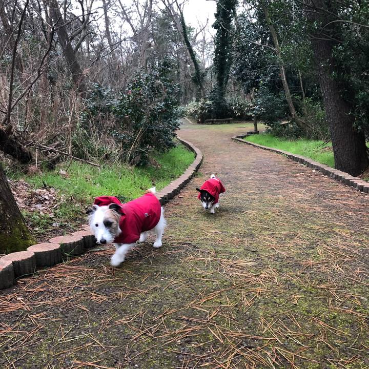 26dd44b9 c329 4d07 b168 011c605fa4c3 1581811772493