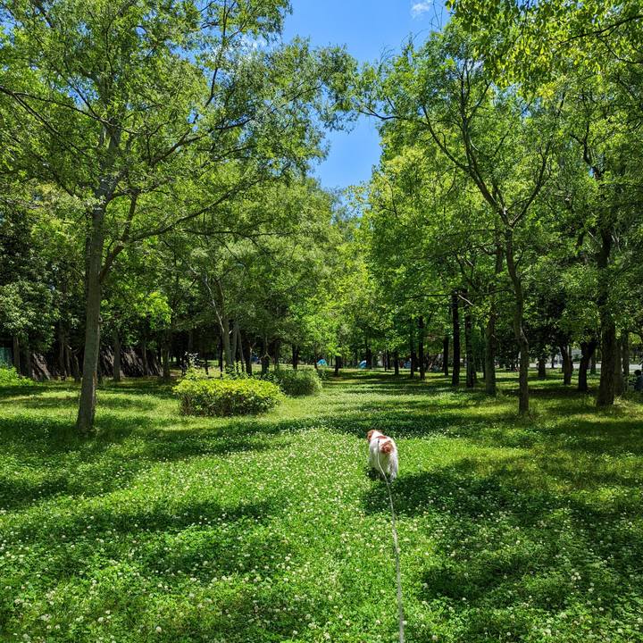 26dda320 ec5a 4b2b 8b37 7ddbe9d9b1d1 1665195128107