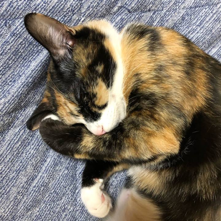 26ddb6bf bc92 416b b5cb 311c857392bb 1565660909513