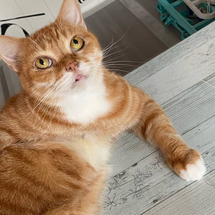 26ddf49d 19ff 432d abed 5a5ac2d5cc5c 1630900363969