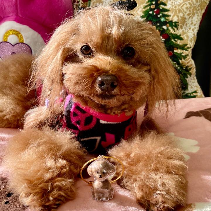 26de1f04 75e6 432f b9b5 e04a4f9a3db5 1763771707035