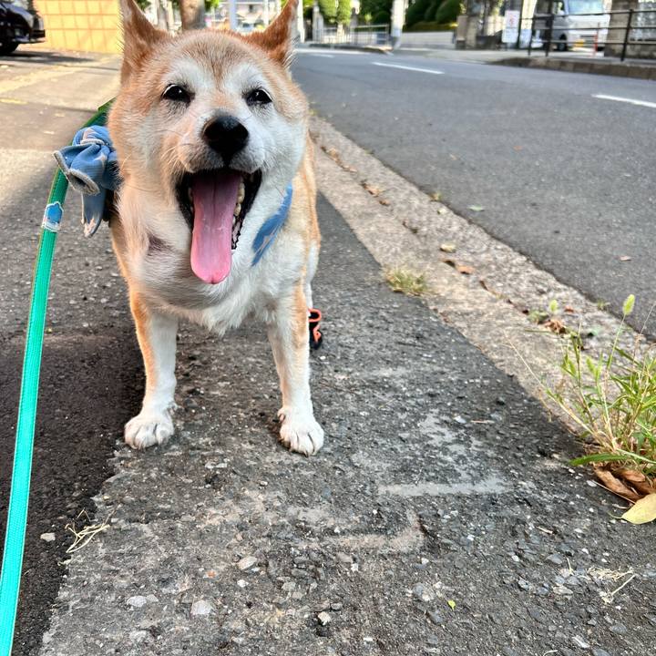 26de2f85 2968 42a2 b090 668485a82621 1754695846943