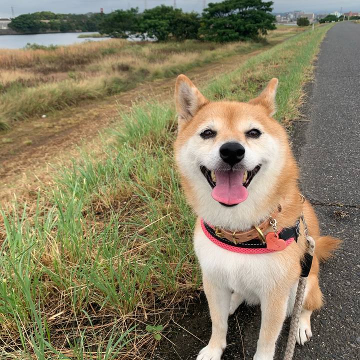 26de3268 1e12 4eb4 ae19 ff78286b31cb 1599868312704