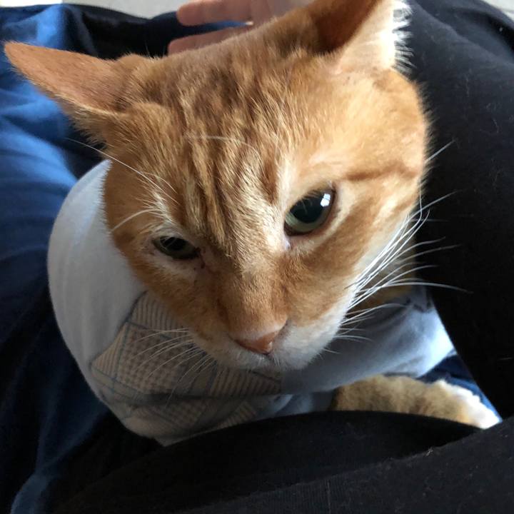 26de334b 31d3 41b2 b693 5a87d20f9773 1681850865111