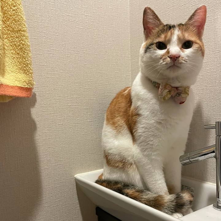 26de3850 e61c 47ca 8e68 00ecf4877627 1631026846871