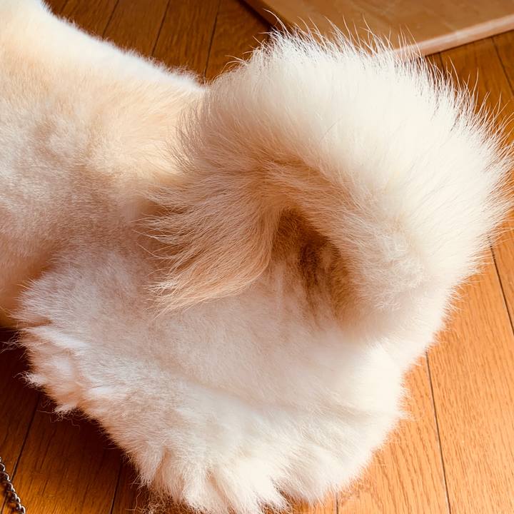 26de928d a4b1 4107 8e3c 8a976eae2129 1584499029952