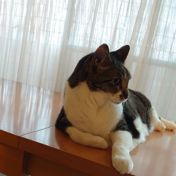 26de9be8 c7a6 4abb 8839 539010226672 1726441505061