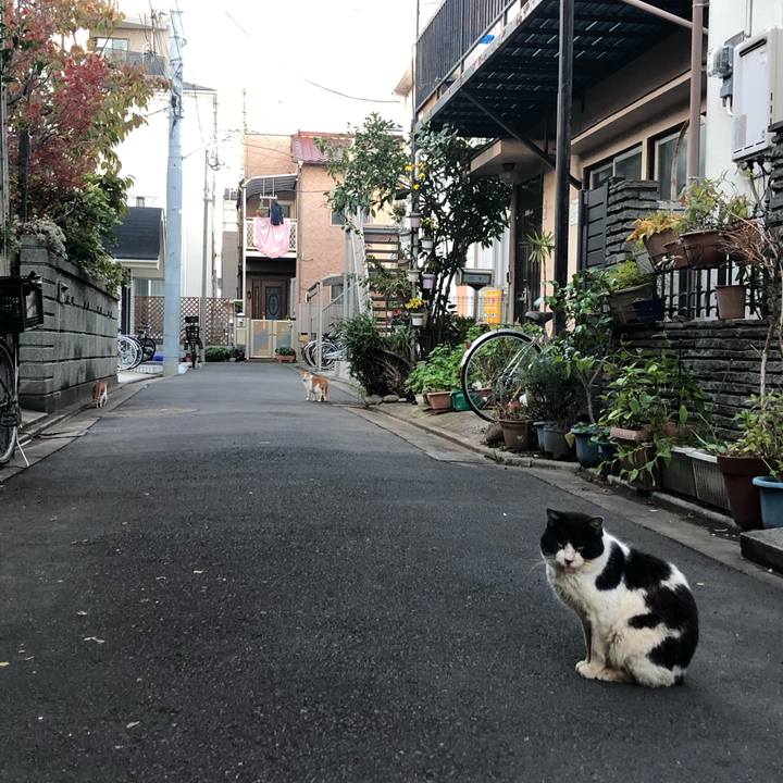 26dea2bd 7f22 4577 a0f7 a6e577a43b6b 1580738403483