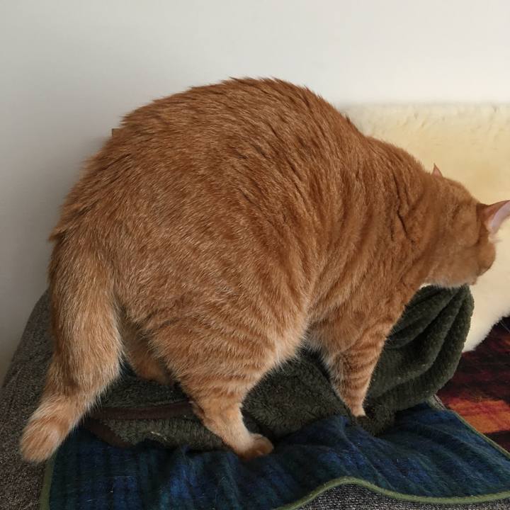 26dea921 0944 42bf 8590 56978032ee0b 1603578358528