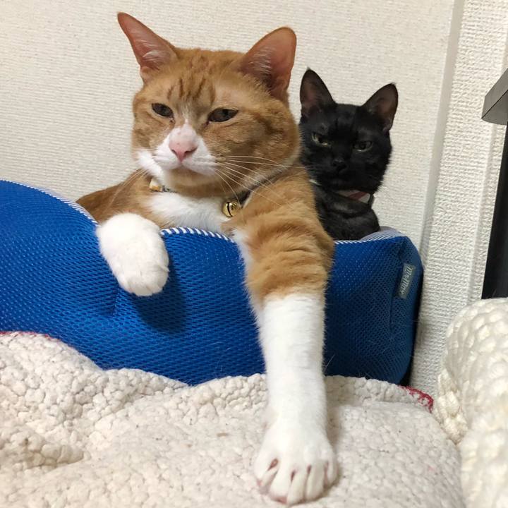 26deb71c 1d0c 438c b7a4 ba6d378cb78b 1661041012740