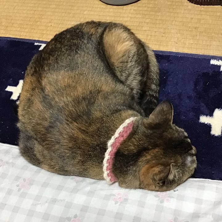 26ded155 2f48 4921 beb6 577c65c5ac19 1711444954975