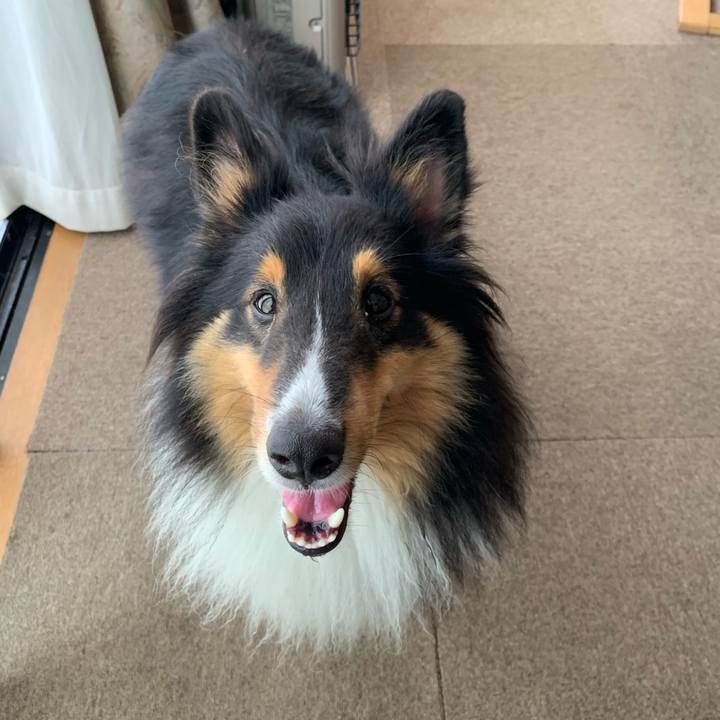 26ded624 2c25 44da 9d2a 677c65a7c8f6 1565313103528