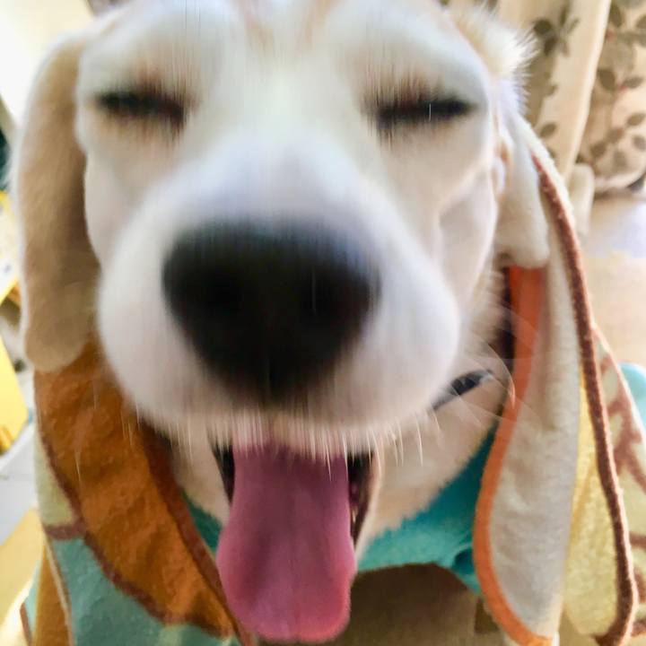 26df7784 5caf 4de7 b877 0bc9ce1eec59 1543327374219