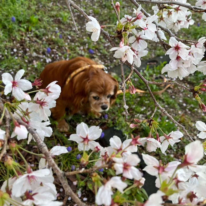 26df78fa 4d19 45de a85c 432b0acc7dac 1775176765381