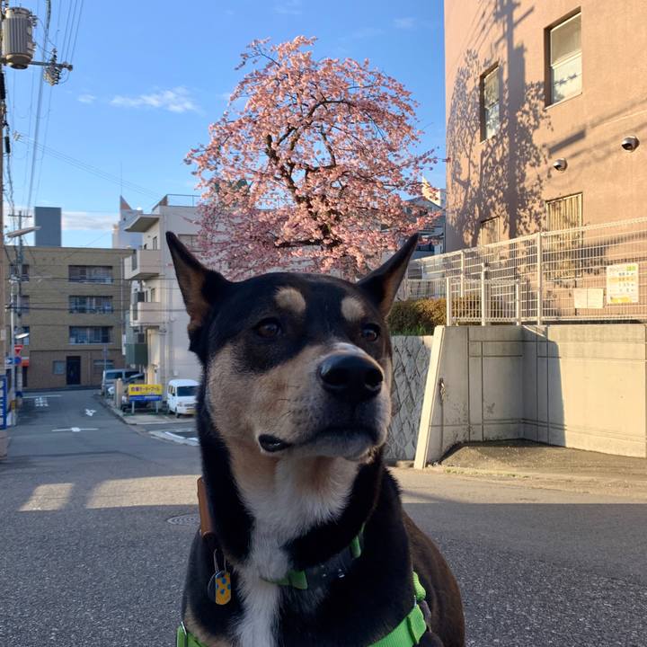 26df9df2 3b75 4970 aa1e 96e38d2cb17a 1583900159491