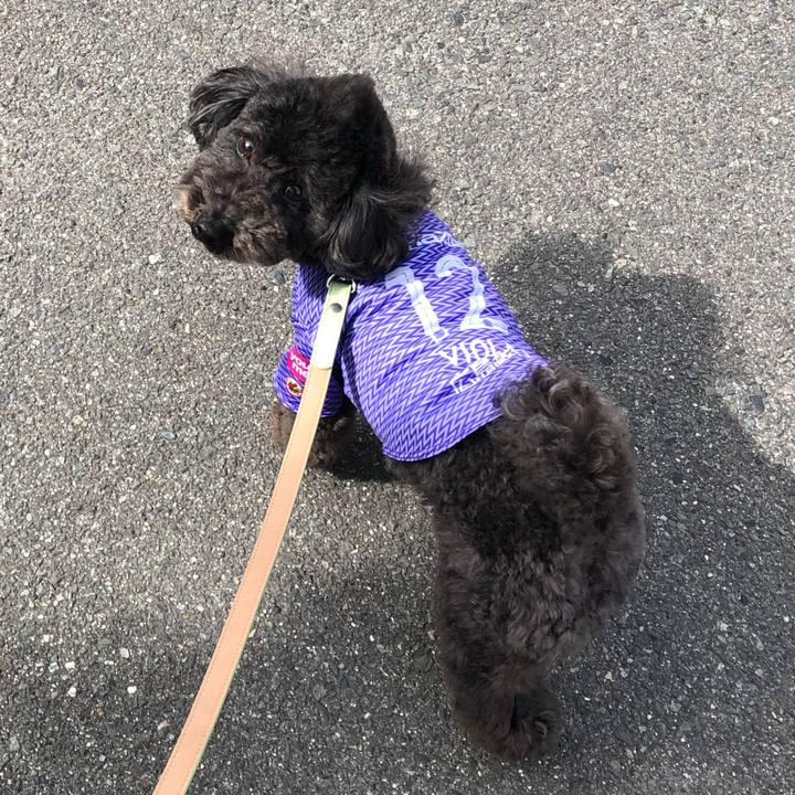 26dfa895 1658 490b ba8a d02ee2f7b3e9 1614410138146