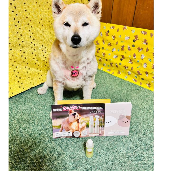 26dfce1f ddf1 435b b4e6 874701443961 1746782733210