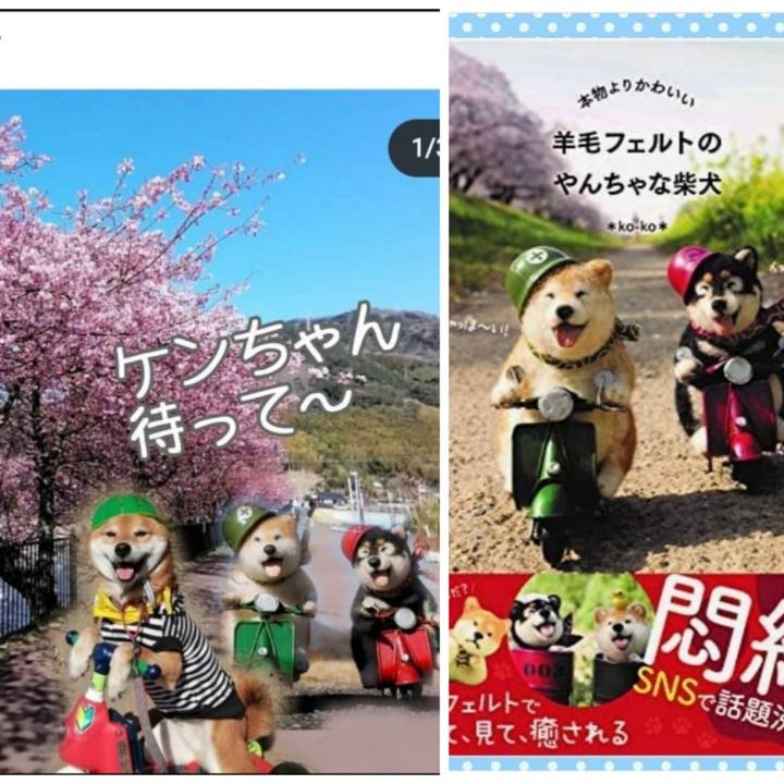 26dfe7e2 cba2 4757 ae27 7dafcd6d66b2 1614933657433