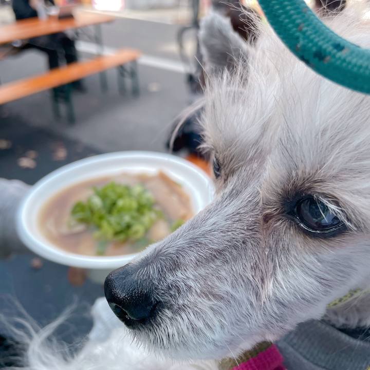 26e00e61 5f52 45a7 8cf8 38dede6e15fa 1762060393123