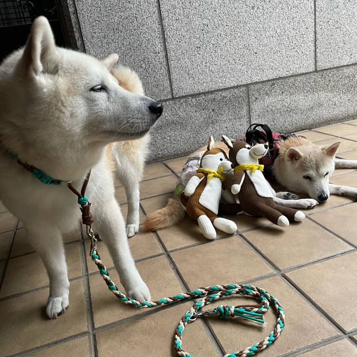 26e0150b d556 4c91 8eeb 8123889a8a42 1663979609166