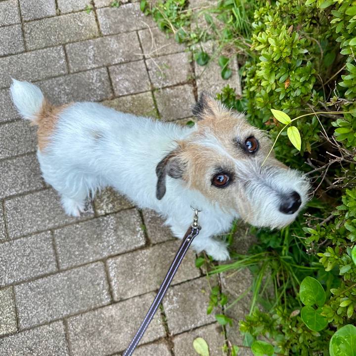 26e02e94 27f2 48e2 8e68 8849d7b25f5b 1730885052378