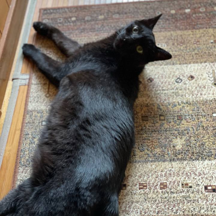 26e03152 2c79 4b9e ac7f 1a8f7dfe5f52 1659143208238