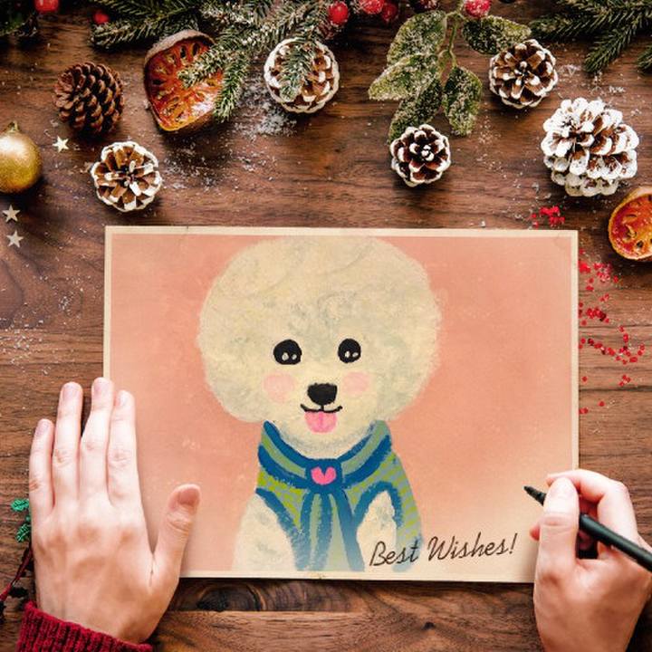 26e07474 bf98 40c6 903f 266dc272bc56 1542628280973