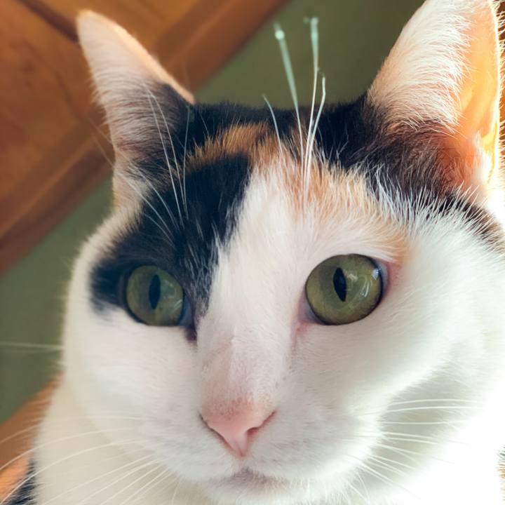 26e092a8 8d0e 4015 abf3 19d9f65dea78 1585966624461