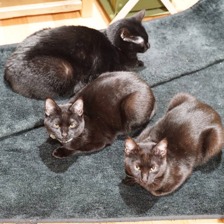 26e0df41 32cb 4cd6 840f 9366a61a524a 1513639426460